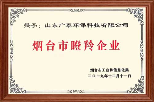 煙臺市瞪羚企業